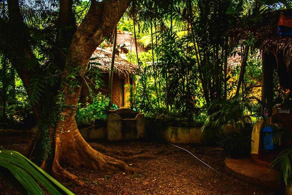 Lennon'S Place Backpacker Hostel Panglao Εξωτερικό φωτογραφία